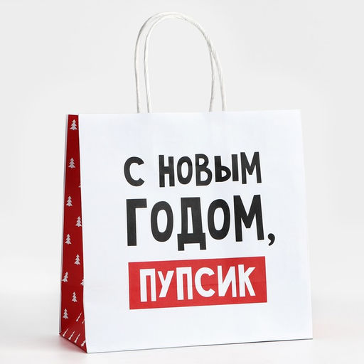 Цена за 2 шт. Пакет подарочный новогодний «С Новым годом, пупсик», 22×22×11 см