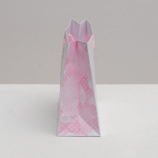 Цена за 2 шт. Пакет подарочный ламинированный, упаковка, «Счастья», 22×17.5×8 см