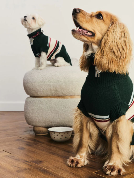 джемпер (попона) для животных / Zarina  фото 4