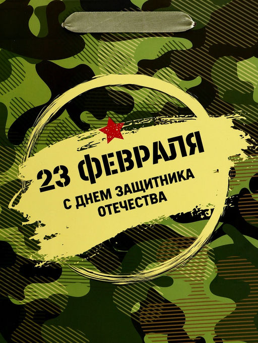 Цена за 2 шт. Пакет подарочный вертикальный 23 февраля, ML 23?27?11.5 см