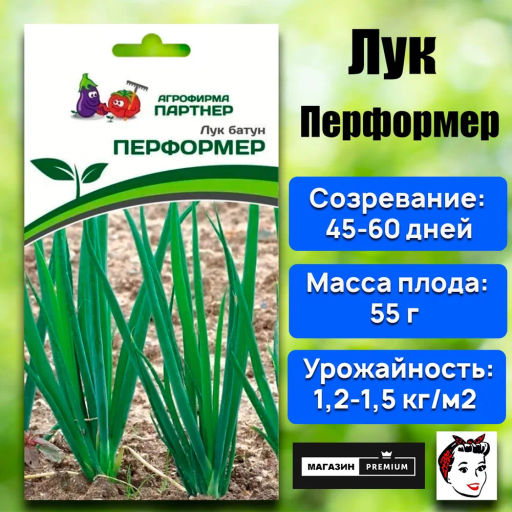 Лук батун Перформер - Партнер фото 6