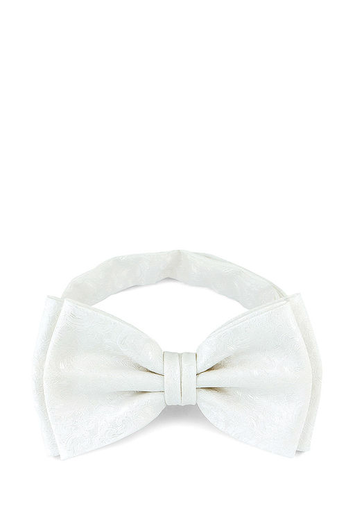 Галстук-бабочка мужской CASINO Casino-poly-wedding 512.1.568
