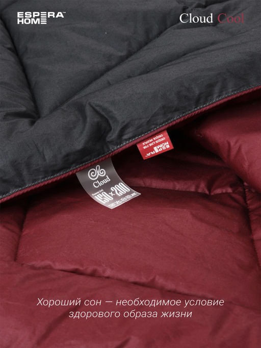 Одеяло Cloud Cool 220х240см всесезонное 200г/м2 ЕС-6855 - Espera фото 3