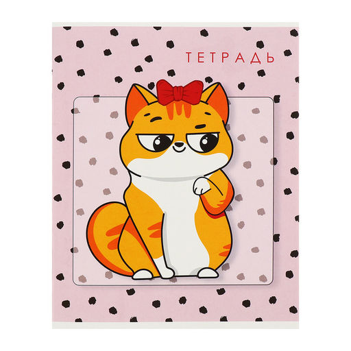 Комплект тетрадей из 5 штук, 48 листов в клетку Calligrata «Коты», обложка мелованный картон, блок офсет