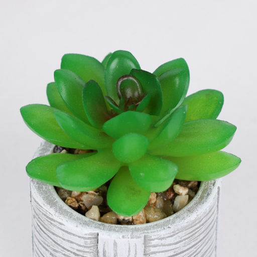 Цветочная композиция Кактус / WER-22 /уп 12/192/ микс - Галеонтрейд фото 7