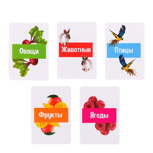 Развивающий набор с молоточками Карточки Г.Домана - Iq-zabiaka фото 3