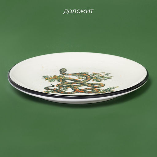 Тарелка Доляна «Василиск», 24×24×2.5 см