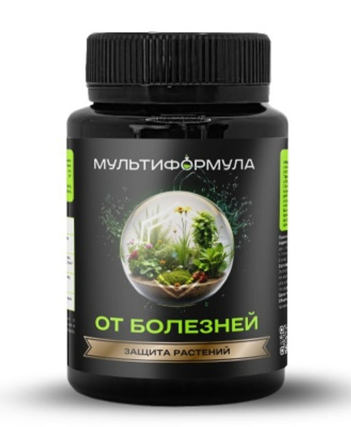 БТ ЗАЩИТА ОТ БОЛЕЗНЕЙ 100 мл - БИОАБСОЛЮТ фото 2