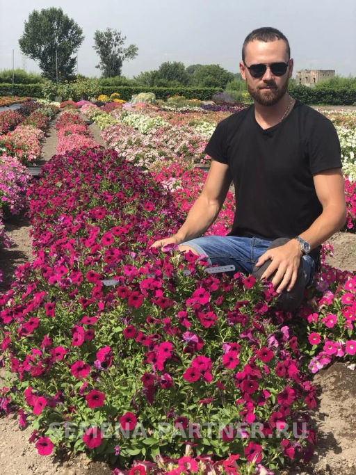 Петуния Амбре Габриэла каскадная фиолетовая - Партнер фото 2