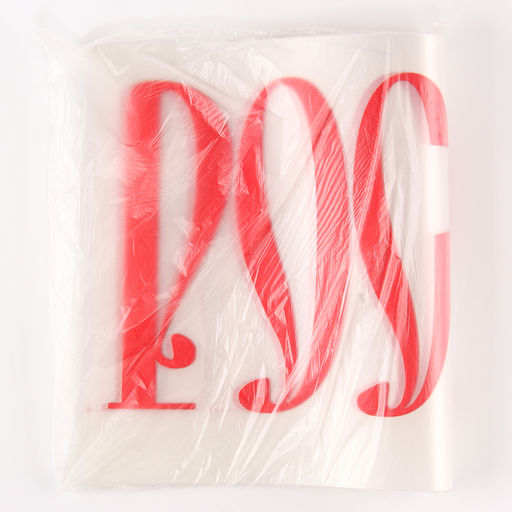 Термонаклейка «Россия», набор 10 шт., 40×18 см