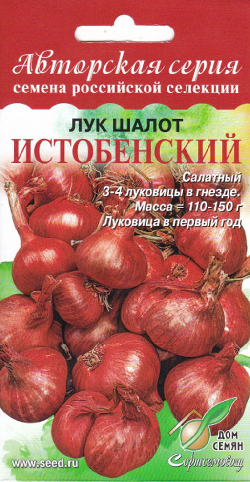 Лук шалот Истобенский