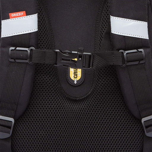 RAz-587-1 Рюкзак школьный - Grizzly фото 24