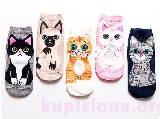 Носки Mew cat