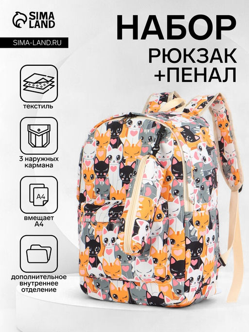 Набор: рюкзак школьный и пенал, с карманами, с принтом, размер 29?12?41 см, розовый