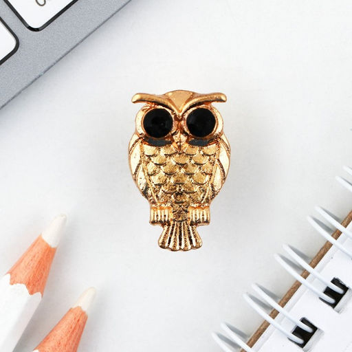 Набор монета и значок Учитель, 7.5 х 10 см - Семейные традиции фото 5