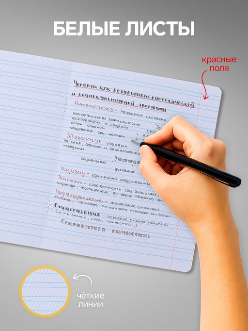 Цена за 2 шт. Комплект тетрадей из 10 штук, 12 листов в линию Calligrata «Тигрёнок», обложка мелованный картон, блок офсет, 5 видов по 2 штуки