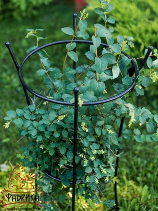 Опора для растений 58-913B - Фабрика интерьерной ковки фото 5