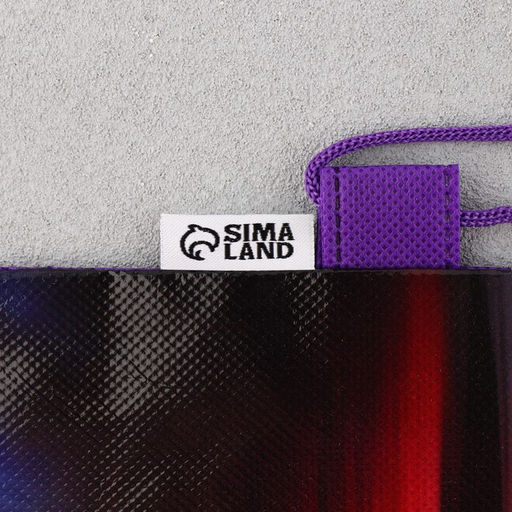 Сумка для обуви Super speed, нетканное полотно, размер 41х31 см - Artfox study фото 9