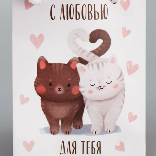 Цена за 4 шт. Пакет подарочный ламинированный, упаковка, «Котики», 7 х 10 х 7 см