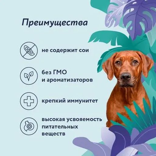 Консервы для собак Курица с яблоком 22ел16 - Florida фото 3