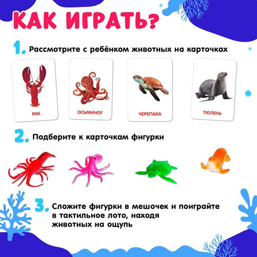 Развивающий набор с карточками Водные животные, по методике Домана - Iq-zabiaka фото 2