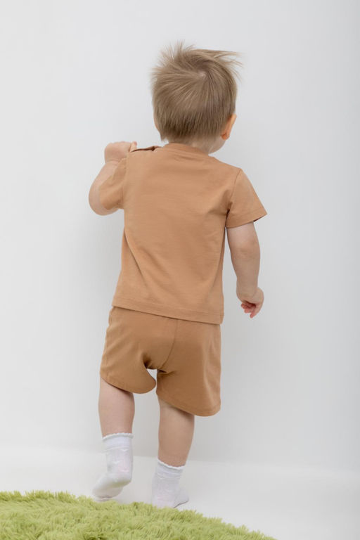 Crockid _ КР 400658/индийский загар к448 шорты д/мал яс