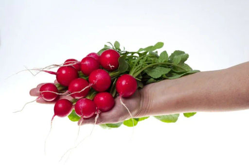 Редис Черриэт - Партнер фото 6