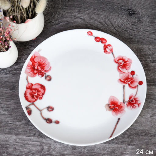 Набор тарелок 6 штук 240 мм Евро / 30/LGW67595 (6755) / Орхидея на ветке