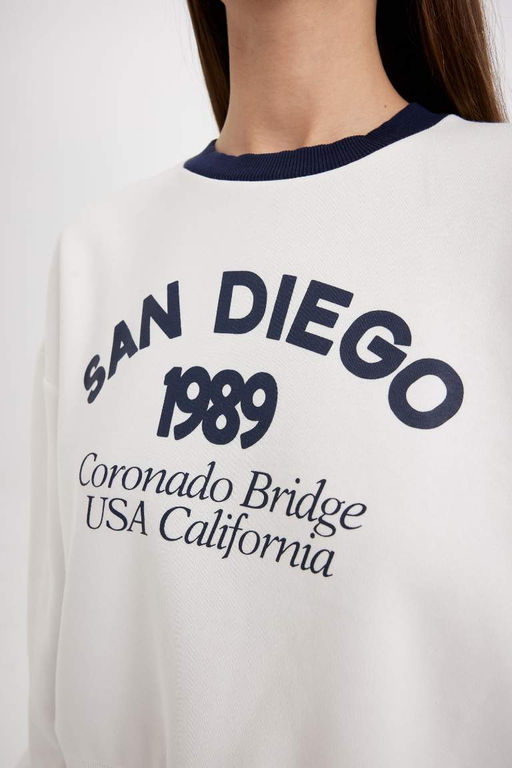 Толстая повседневная толстовка с принтом свободного кроя и круглым вырезом - Defacto фото 5