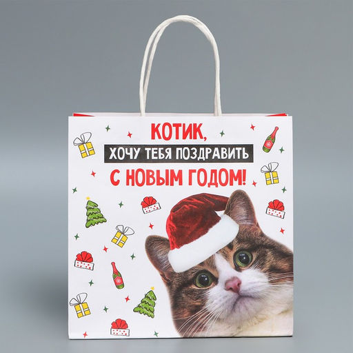 Пакет подарочный крафтовый Котик, 22 22 11 см - Дарите счастье фото 3