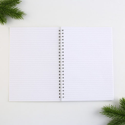 Ежедневник А5, 60 листов, недатированный, с тиснением «Верь в чудеса»