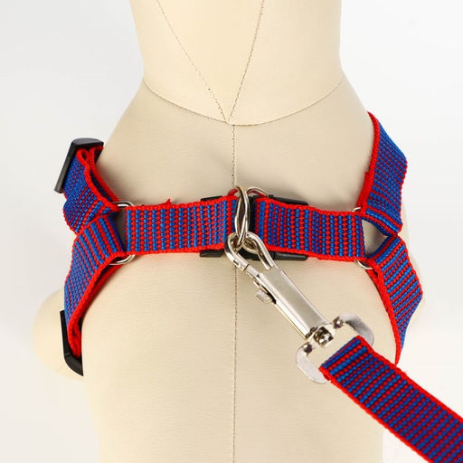 Комплект амуниции рельефный, поводок 120 х 2 см, ОГ 44-50 см, красно-синий - Пижон фото 4