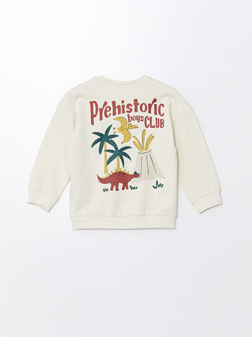 Bisiklet Yaka Uzun Kollu Bask?l? Erkek Bebek Sweatshirt - Waikiki фото 3