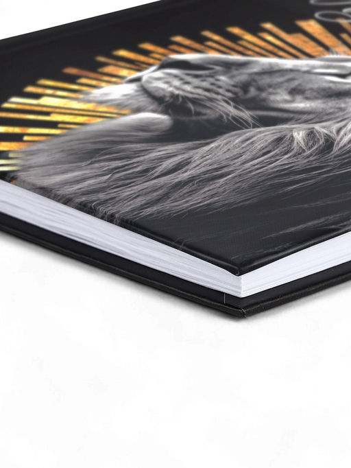 Ежедневник А5, 80 л., твёрдая обложка Лучший из лучших - Artfox фото 2