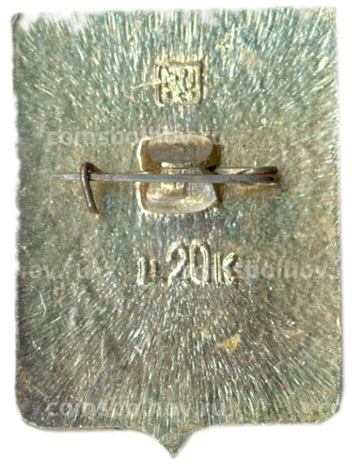 Значок Кобрин