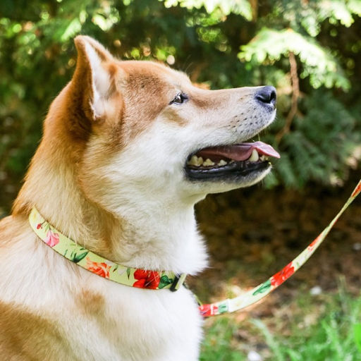 Набор Цветы, застёжка - фастекс, поводок 2 м и ошейник 28-46 см - Пушистое счастье фото 10