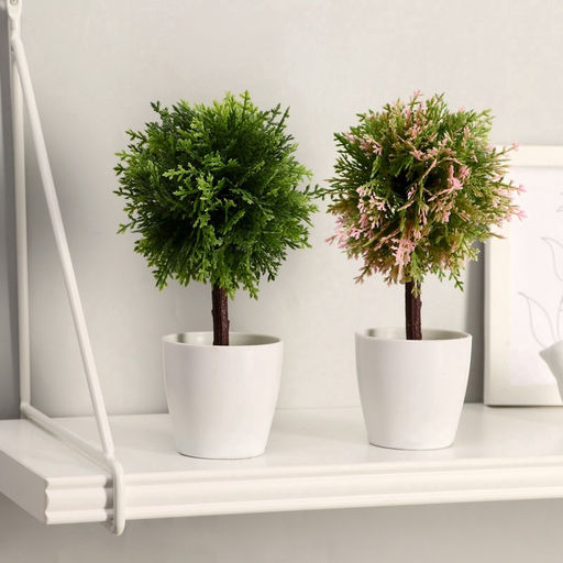 Искусственный цветок в горшке «Листочки-ёлочки», h=20 см, МИКС