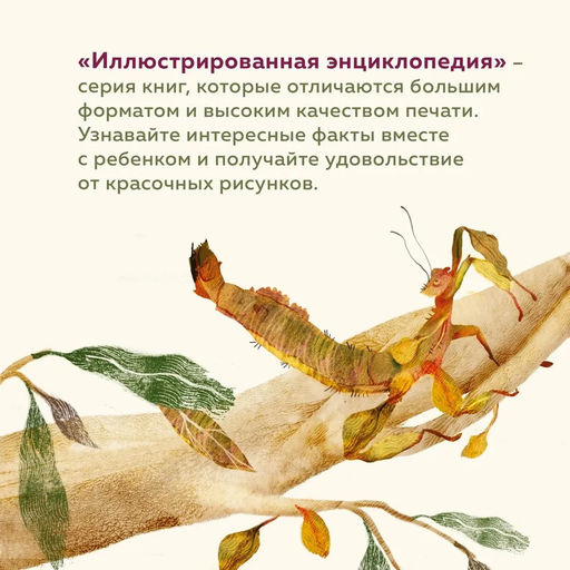 Что внутри? Как устроены дома животных. Банфи К., Перабони К. - Издательство махаон фото 5