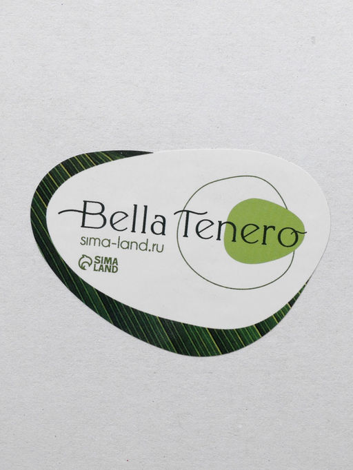 Банка для сыпучих BellaTenero «Эко», 420 мл, 8×6×16.8 см, с бамбуковой крышкой и ложкой, прозрачная