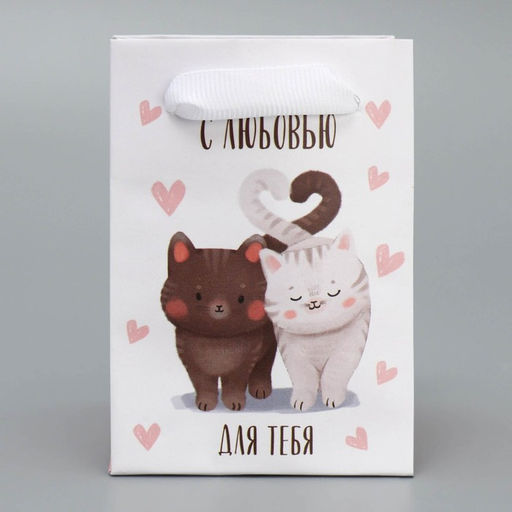 Цена за 4 шт. Пакет подарочный ламинированный, упаковка, «Котики», 7 х 10 х 7 см