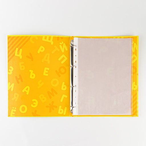 Папка школьная на кольцах «Портфолио дошкольника», 14 листов-разделителей, 24.5×32 см