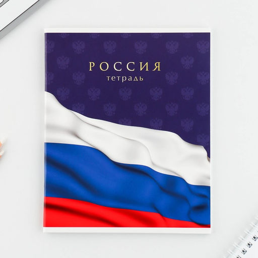 Тетрадь А5, 48 л на скрепке МИКС Шрифтовые яркие, обложка мелованный картон 230 гр., внутренний блок №1, в клетку 80 гр., белизна 96% - Artfox study фото 19