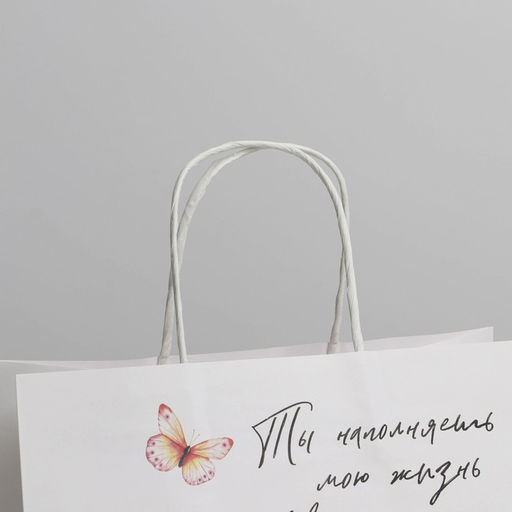 Цена за 2 шт. Пакет подарочный, упаковка, Тепло, 22?22?11 см