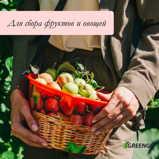 Цена за 2 шт. Ёмкость для сбора ягод, 3 л, белая