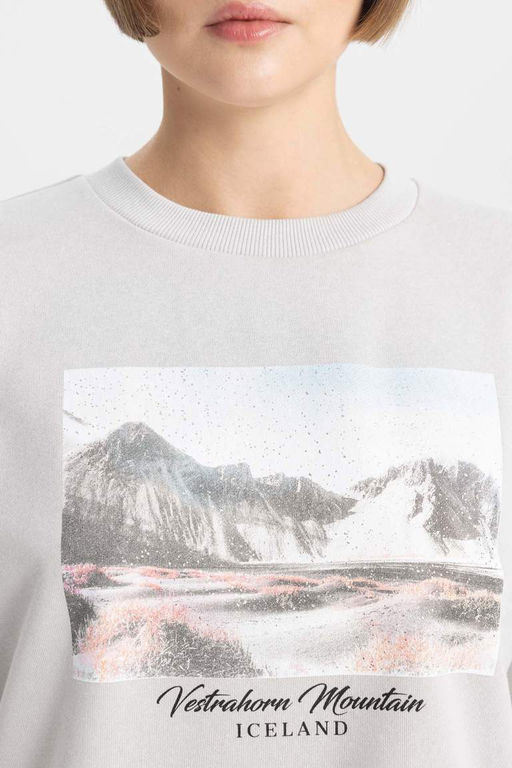 Толстый свитшот оверсайз с круглым вырезом - Defacto фото 5