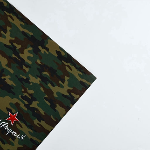 Цена за 10 шт. Бумага упаковочная глянцевая С 23 февраля, 70?100 см