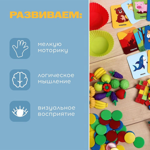 Большой набор «Для сортировки», 6 в 1, 3+