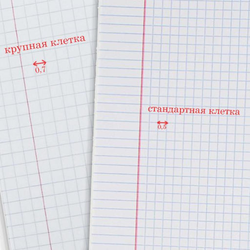 Цена за 25 шт. Тетрадь 12 листов крупная клетка «Зелёная обложка», с таблицей умножения, термоупаковка 25 шт.