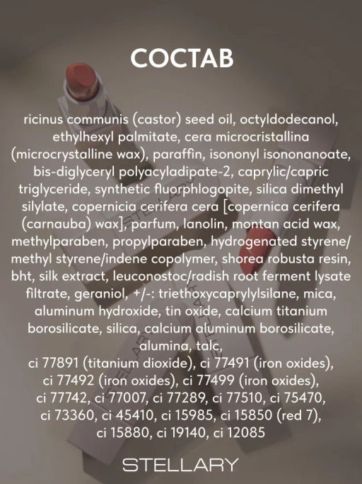 Stellary Помада для губ Устойчивая RICH NUDE тон 07 famous  фото 7