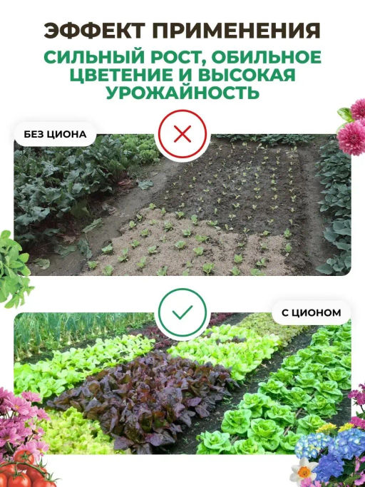 ЦИОН Протект Классик (питание и профилактика грибковых заболеваний), 400 гр